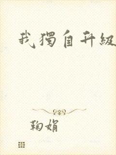 《我独自升级漫画》小说封面