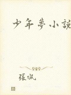 少年梦小说