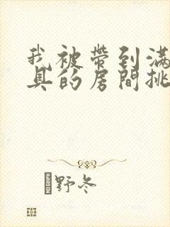 我被带到满是玩具的房间挑调作文