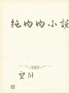 纯肉肉小说
