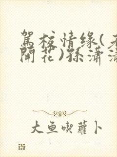 驾校情缘(老树开花)孙潇潇第一次趣笔阁