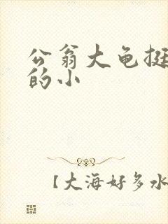 公翁大龟挺进我的小