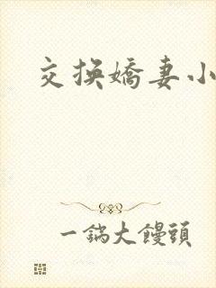 交换娇妻小说