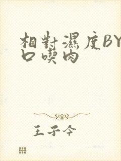 相对湿度BY大口吃肉