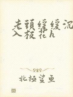 老头缓缓沉腰进入校花h封面