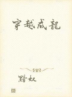 穿越成龙