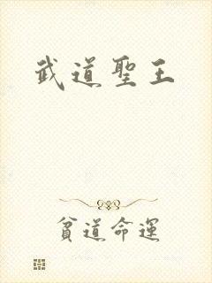 武道圣王