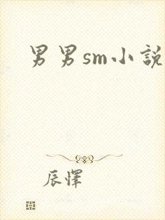 男男sm小说