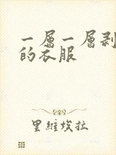 一层一层剥开你的衣服