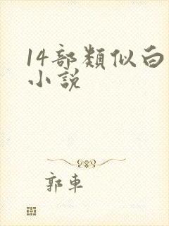 14部类似白洁小说封面