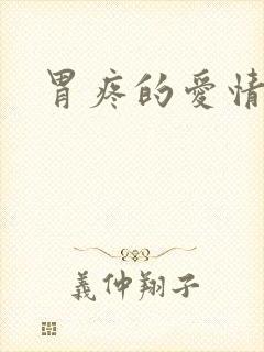 《胃疼的爱情》小说封面