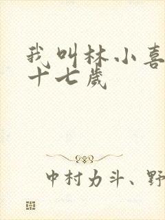 我叫林小喜今年十七岁