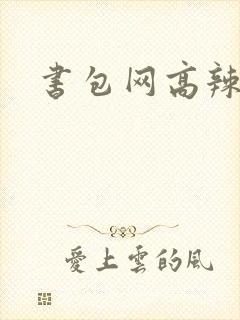 书包网高辣文