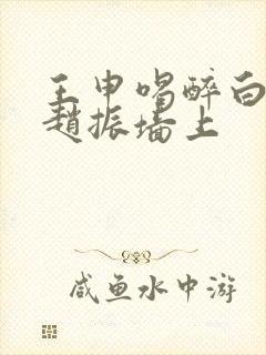 王申喝醉白洁被赵振墙上