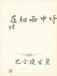 在细雨中呼喊txt