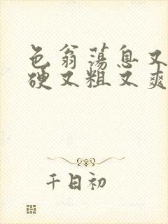 色翁荡息又大又硬又粗又爽小莹