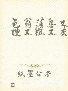 色翁荡息又大又硬又粗又爽