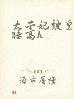 太子妃被皇上强睡高h