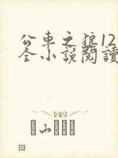 公车之狼12集全小说阅读封面