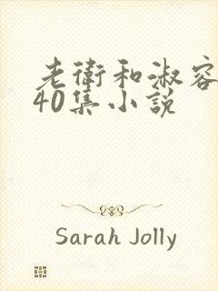 老卫和淑容1-40集小说