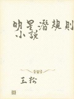 明星潜规则之皇 小说