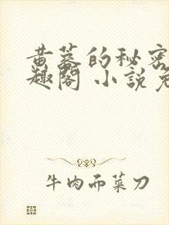 黄蓉的秘密 笔趣阁 小说免费阅读下载