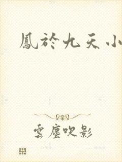 凤于九天小说