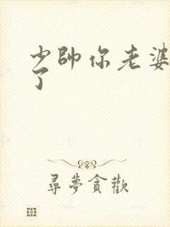 少帅你老婆又跑了