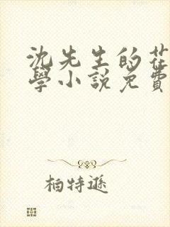 沈先生的花式教学小说免费