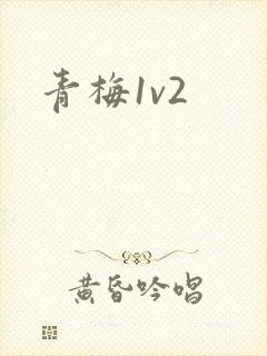 青梅1v2
