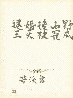 退婚后山野糙汉三天被宠成宝小说