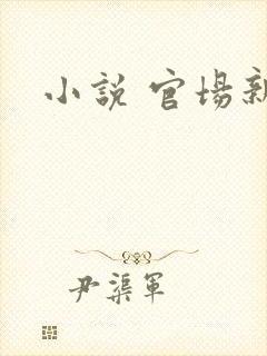 小说 官场新贵