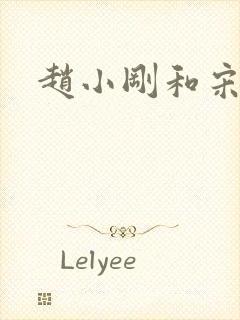 赵小刚和宋雨晴