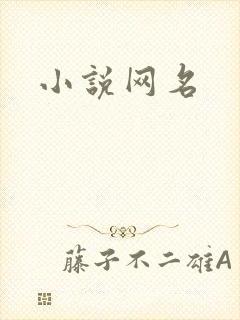 小说网名