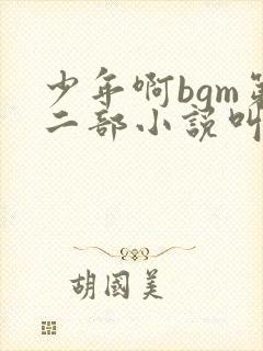 少年啊bgm第二部小说叫什么封面
