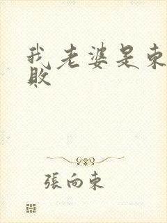 我老婆是东方不败