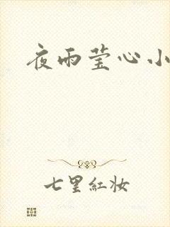 夜雨莹心小说