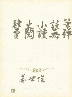 肆火小说笔趣免费阅读无弹窗