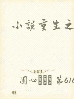 小说重生之官道