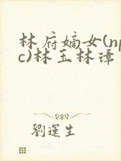 林府嫡女(npc)林玉林璋