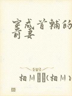 穿成首辅的炮灰前妻