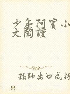 少年阿宾小说全文阅读