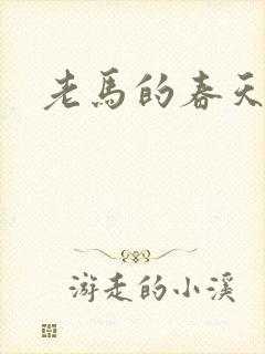 老马的春天敏静封面