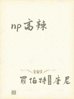 np高辣