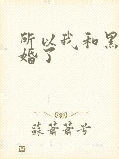 所以我和黑粉结婚了