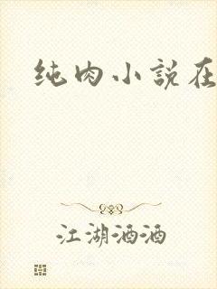 纯肉小说在线