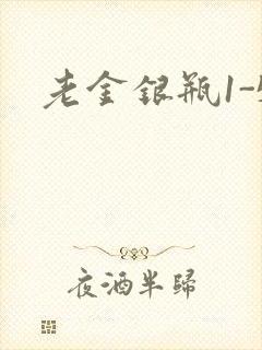 老金银瓶1-5
