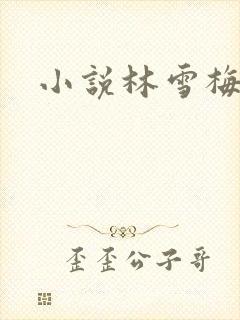 小说林雪梅