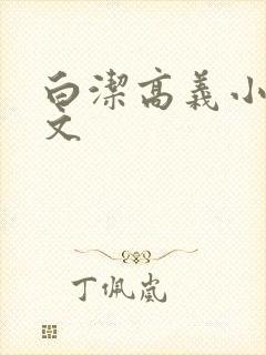 白洁高义小说全文