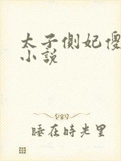 太子侧妃傻乎乎小说